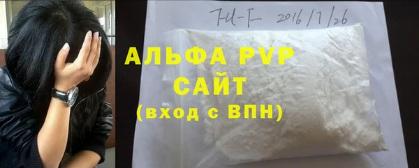 стаф Богородицк