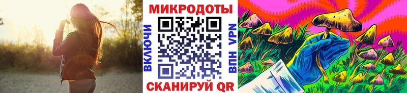 Псилоцибиновые грибы Cubensis закладка Дигора